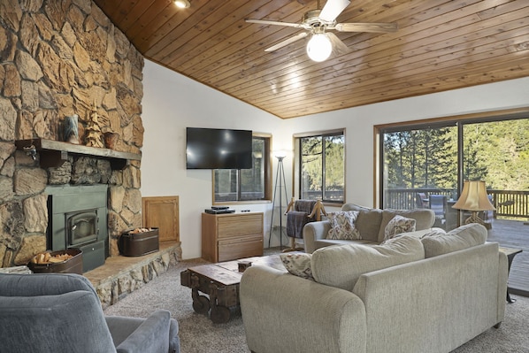 電視、DVD 播放機