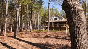 Une cabane entourée de grands arbres, au cœur d’une forêt.