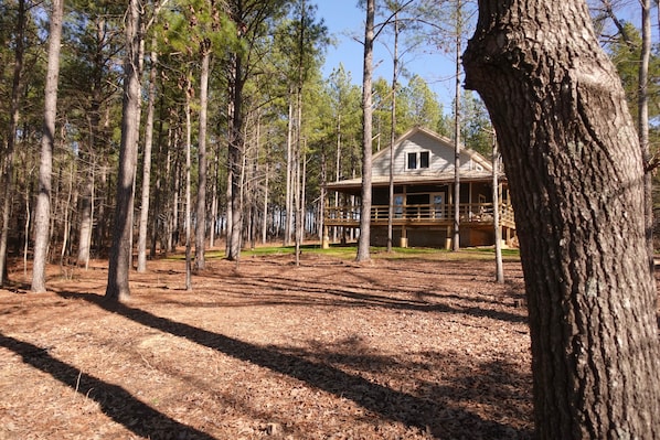 Une cabane entourée de grands arbres, au cœur d’une forêt.