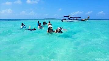 Paseos en bote