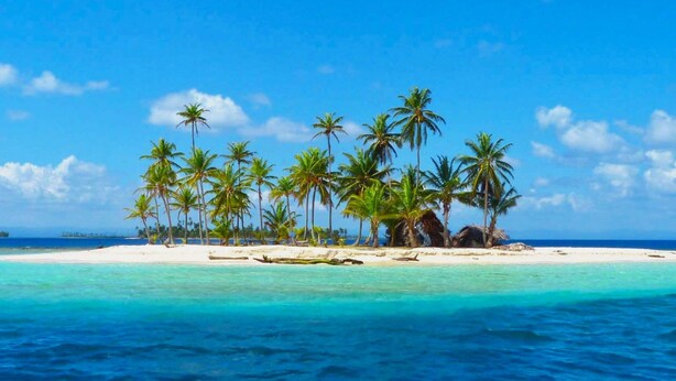 Una playa tropical con palmeras y aguas turquesas cristalinas.