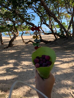Playa en los alrededores 