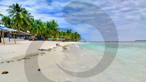 Une plage avec une eau turquoise et limpide, des palmiers et une sorte de cabane.