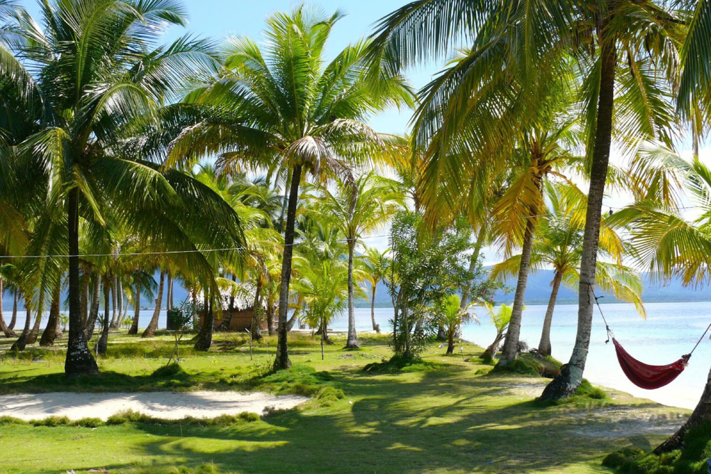 Una playa con palmeras, una hamaca y una vista despejada del océano.