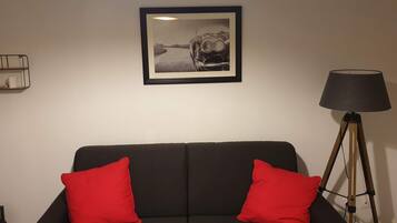 Smart TV, videojuegos, reproductor de DVD y libros