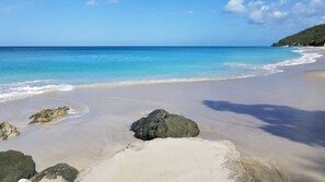 A beach with clear turquoise water, sandy shore, and scattered rocks. - Orrie's Beach Bar Hotel (Johnson's Point)