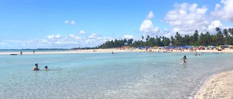 A beach with clear shallow waters, people swimming, and a sandy shore with umbrellas.