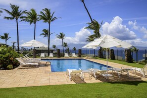 Piscina con sillas reclinables blancas y sombrillas, rodeada de palmeras y vistas al océano.