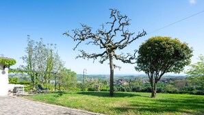 Un chemin pavé mène à une zone herbeuse où se trouvent un arbre et une chaise.