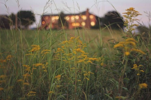 The Inn at Schoppee Farm