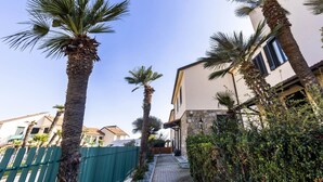 A pathway lined with palm trees leading to a building with stone and stucco exterior.