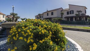 A residential area with a paved walkway, a large bush with yellow flowers, and a two-story house with a tiled roof.