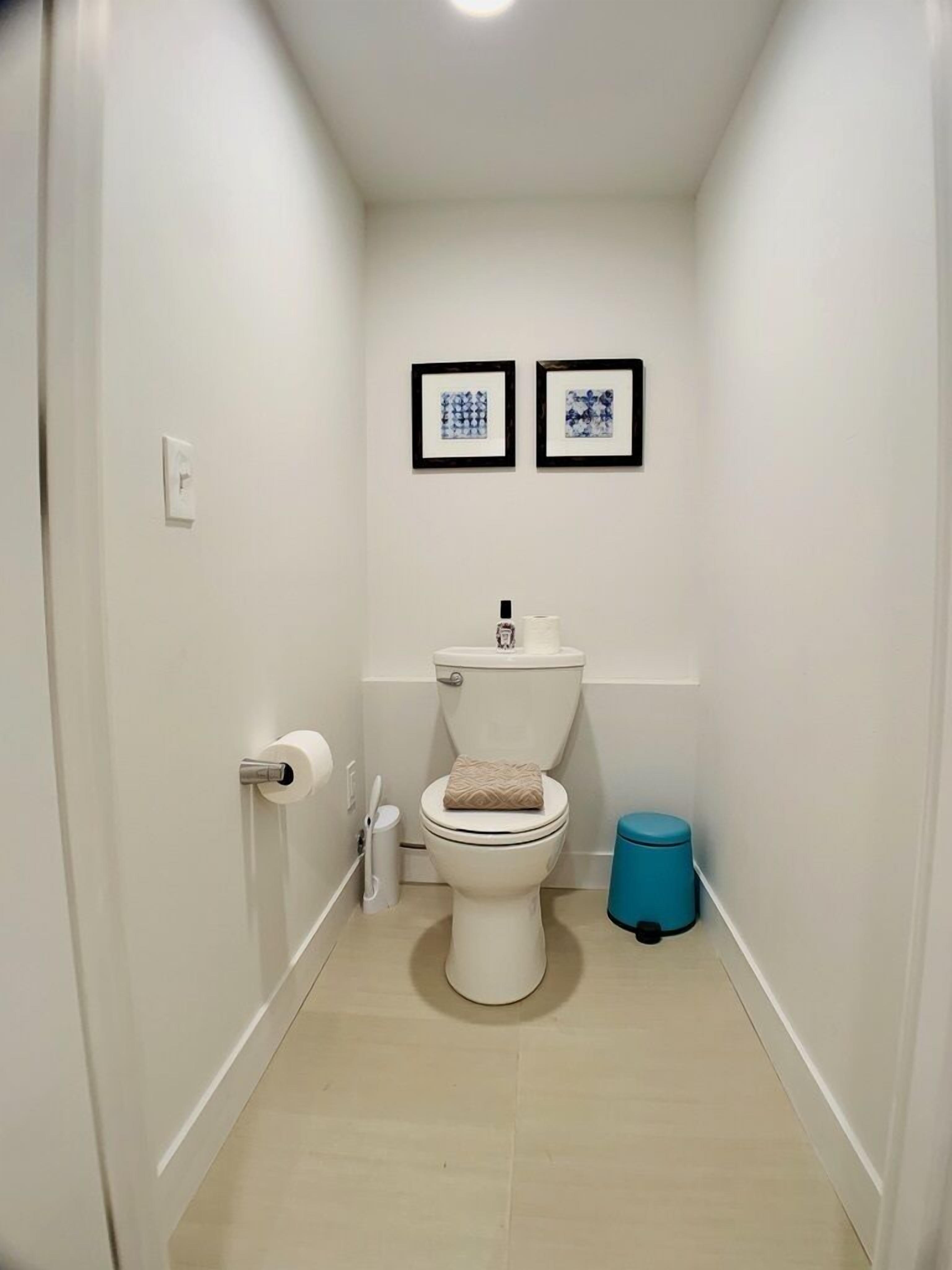 A narrow hallway leading to a toilet with two framed pictures on the wall, a blue trash bin, and a toilet paper holder.