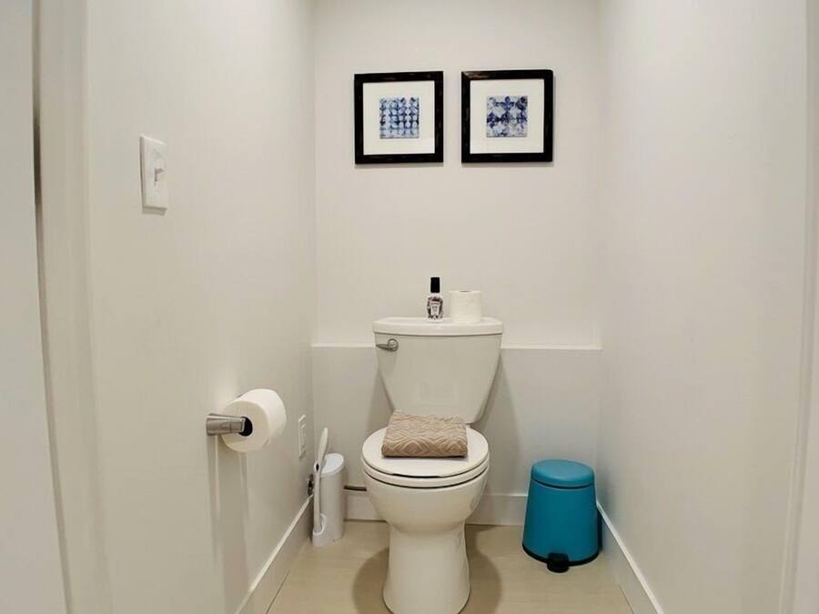 Un pasillo estrecho que conduce a un baño con dos cuadros en la pared, un bote de basura azul y un dispensador de papel higiénico.