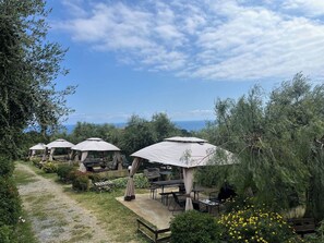 A garden area with outdoor seating under large umbrellas, surrounded by greenery and a clear sky. - Beautiful apartment in villa for 4 people with pool, A/C, patio, pets allowed and panoramic view (Costarainera)