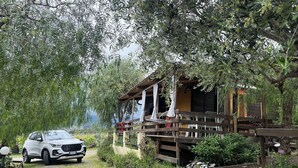 Un SUV bianco parcheggiato di fronte a un rustico chalet di legno con balcone, immerso nel verde rigoglioso e circondato da piante fiorite.
