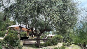 Un'area giardino con una panchina in legno, un pergolato e un vialetto.
