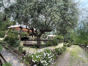 A garden area with a wooden bench, a pergola, and a pathway.