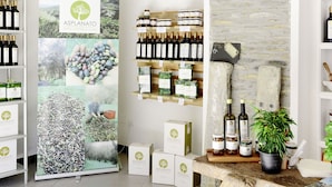A wine shop with shelves of wine bottles, a display of wine boxes, and a rustic stone wall. - Nice apartment for 3 people with pool, WIFI, patio, pets allowed and panoramic view (Lecchiore)