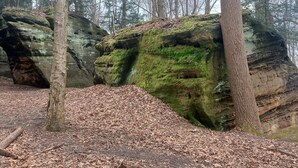 Une zone boisée caractérisée par de grandes formations rocheuses recouvertes de mousse et un sol jonché de feuilles.