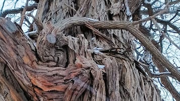 Außendetails