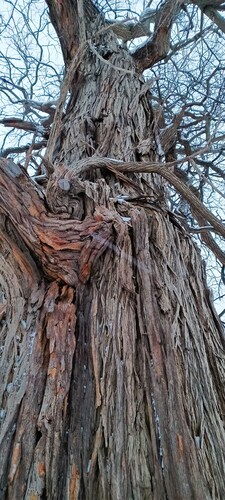 Ohio Riverfront vieraanvaraisuus.  Kuntosali 1 lohko.  Kävele jokea.