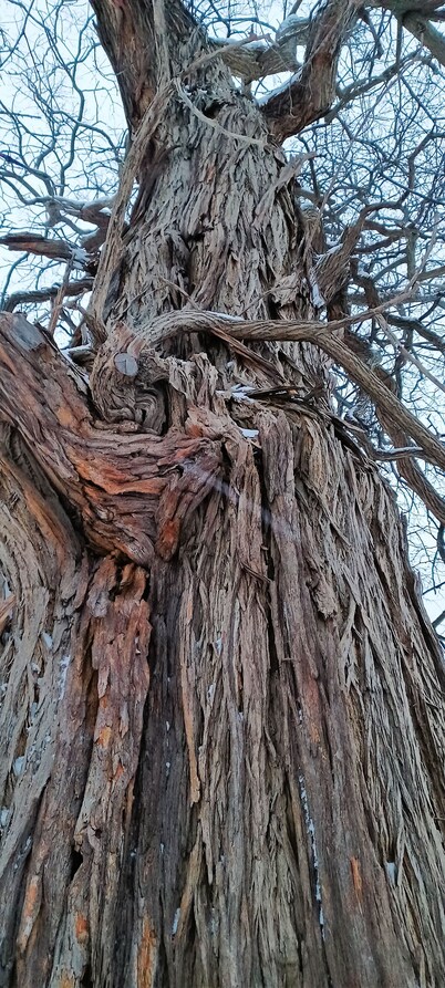 Cuyahoga River Man Cave
