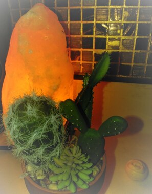 Interior detail -  Cuyahoga River Man Cave (Cuyahoga Falls)