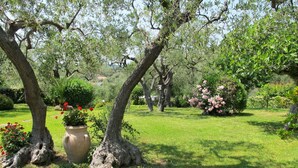 Un jardin avec des arbres, un grand vase et des fleurs en pleine floraison.