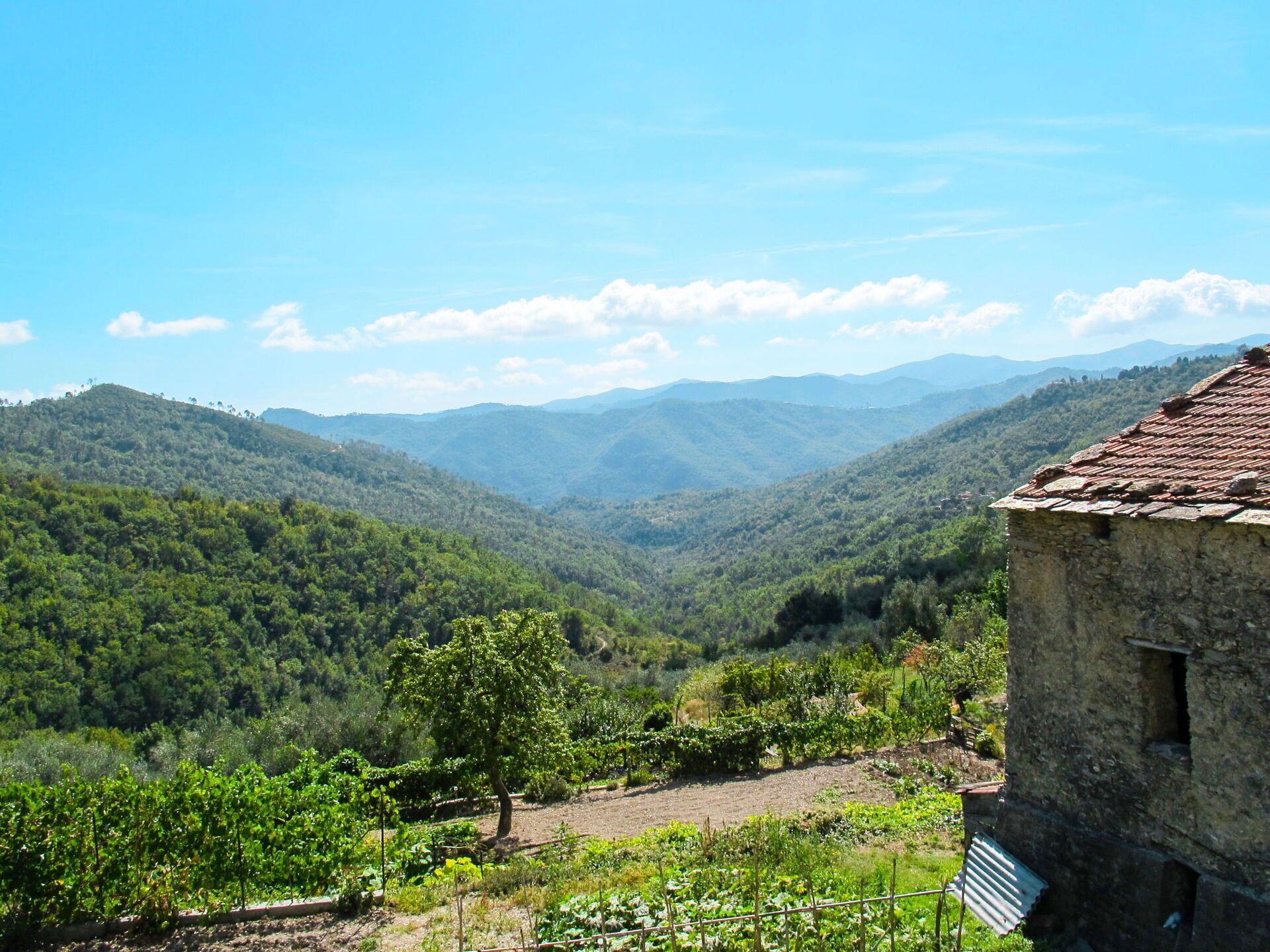 A rural landscape with a vineyard, a stone building, and rolling hills in the background.