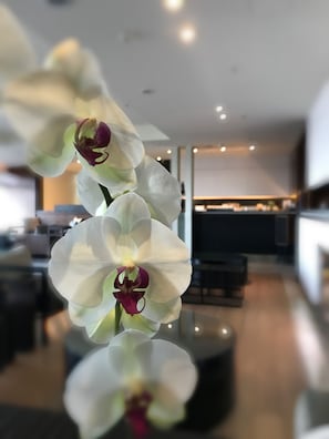 Sala de estar en el lobby