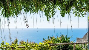 A garden with a view of the sea, featuring a wooden fence and various plants. - Beautiful apartment for 5 people with A/C, WIFI, TV and patio (Finale Ligure)