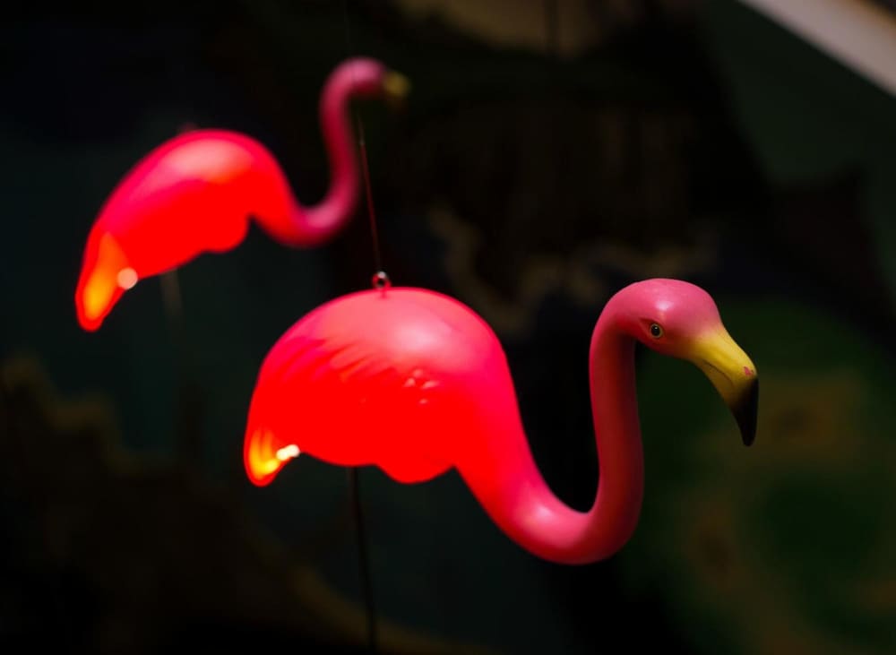 The Alabama Hotel by null