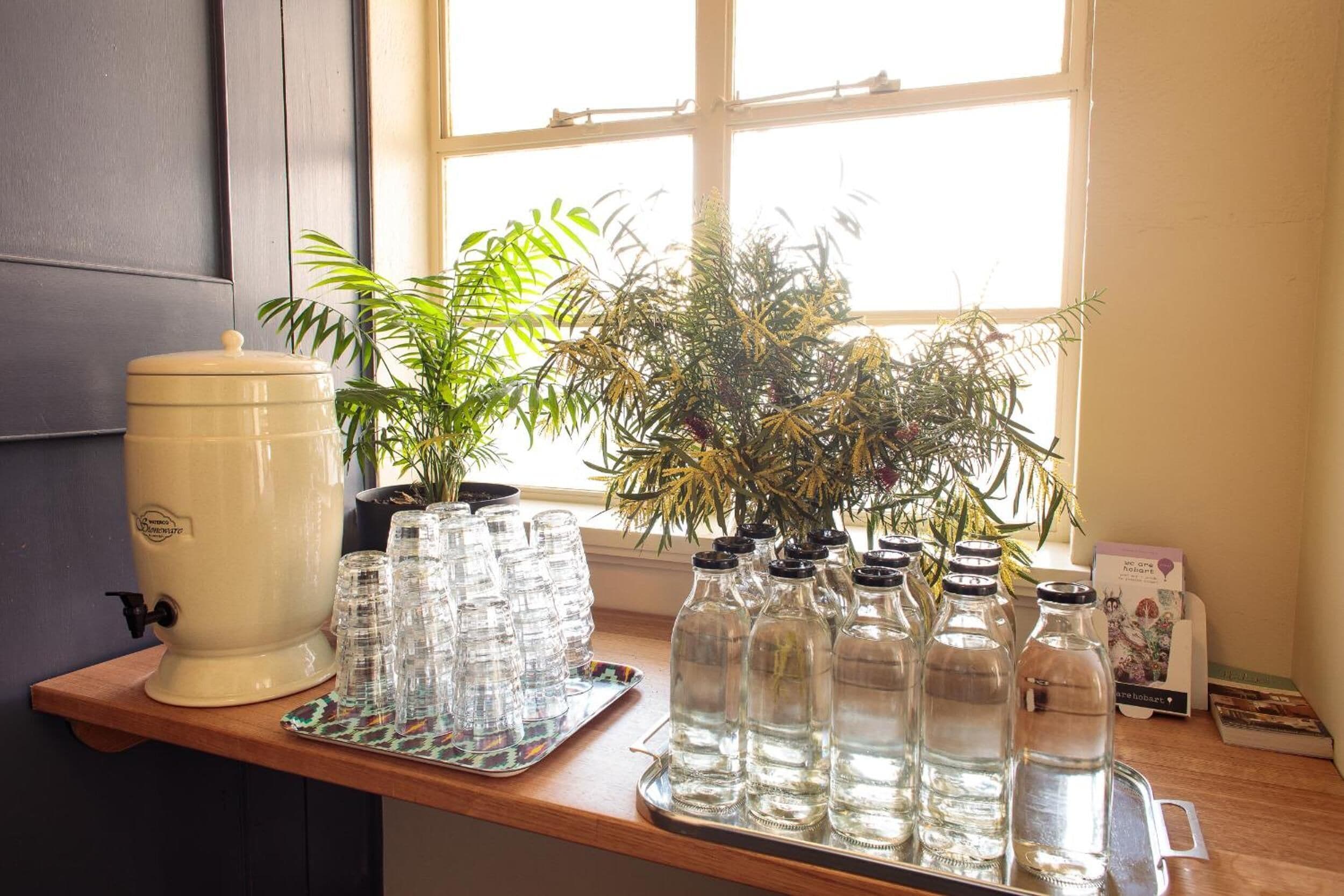 Una encimera de cocina con dispensador de agua, botellas de vidrio y una planta en maceta.
