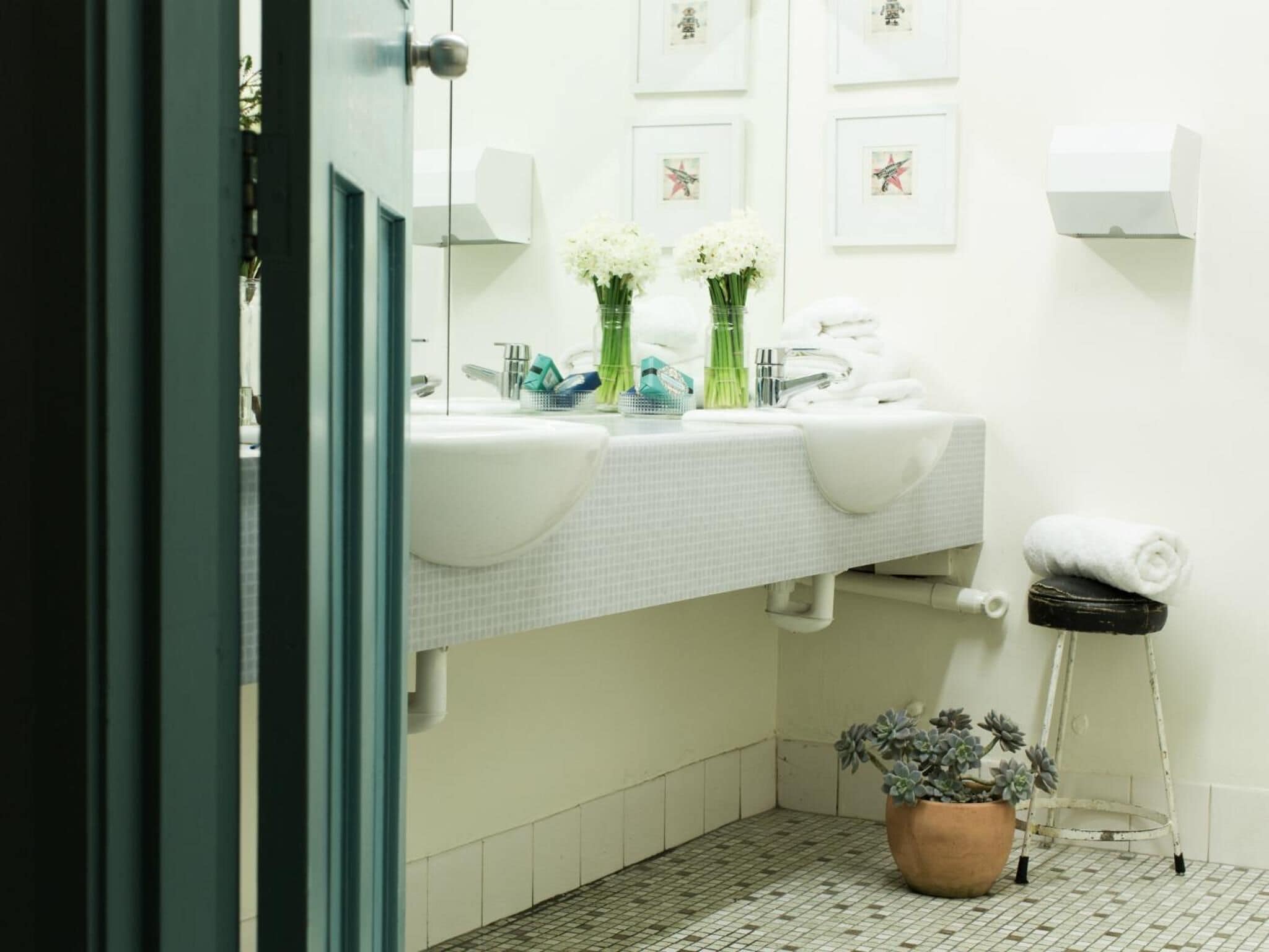 A modern bathroom with two sinks, a mirror, and a potted plant.