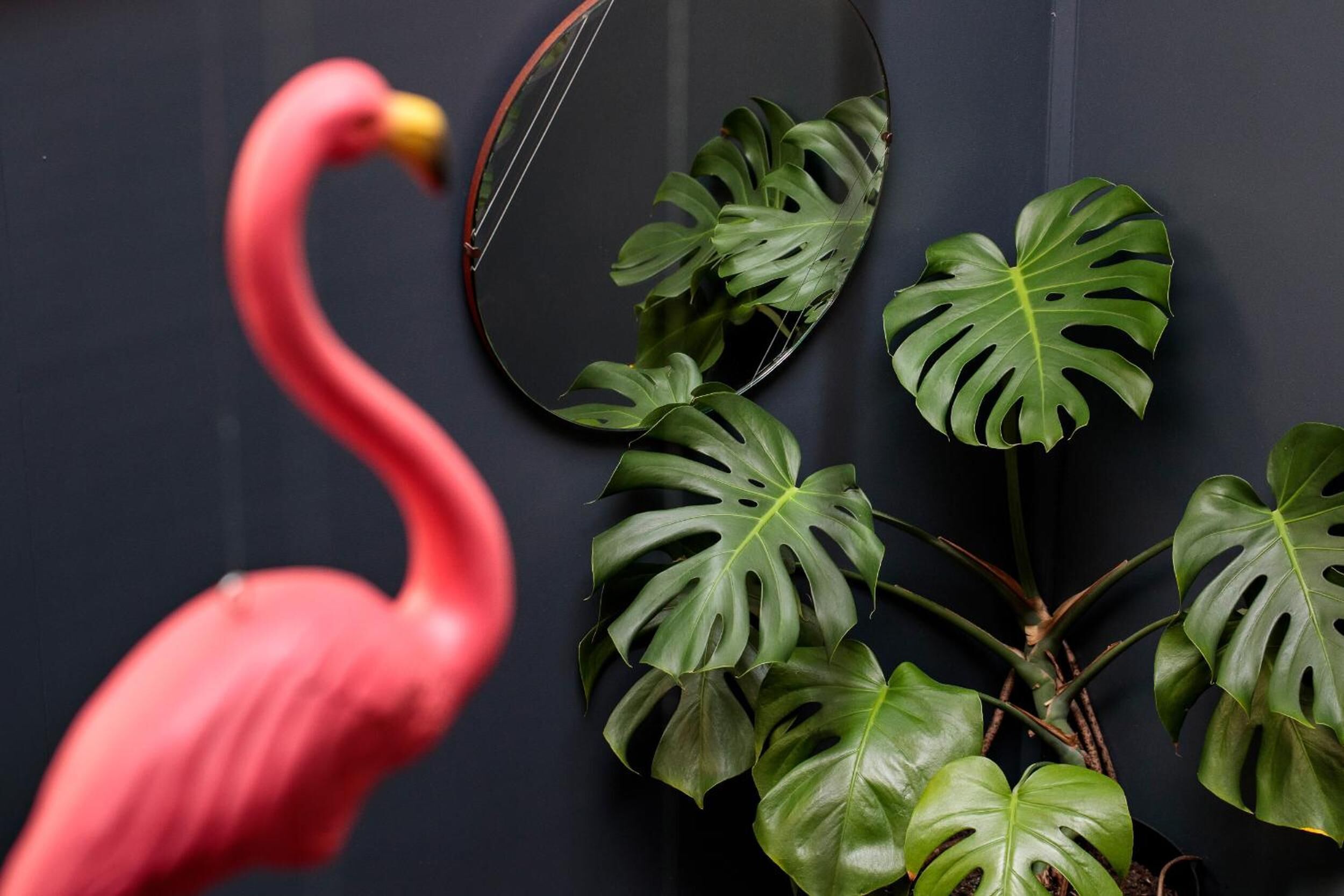 Una estatua de flamenco junto a un espejo y plantas de monstera verde.