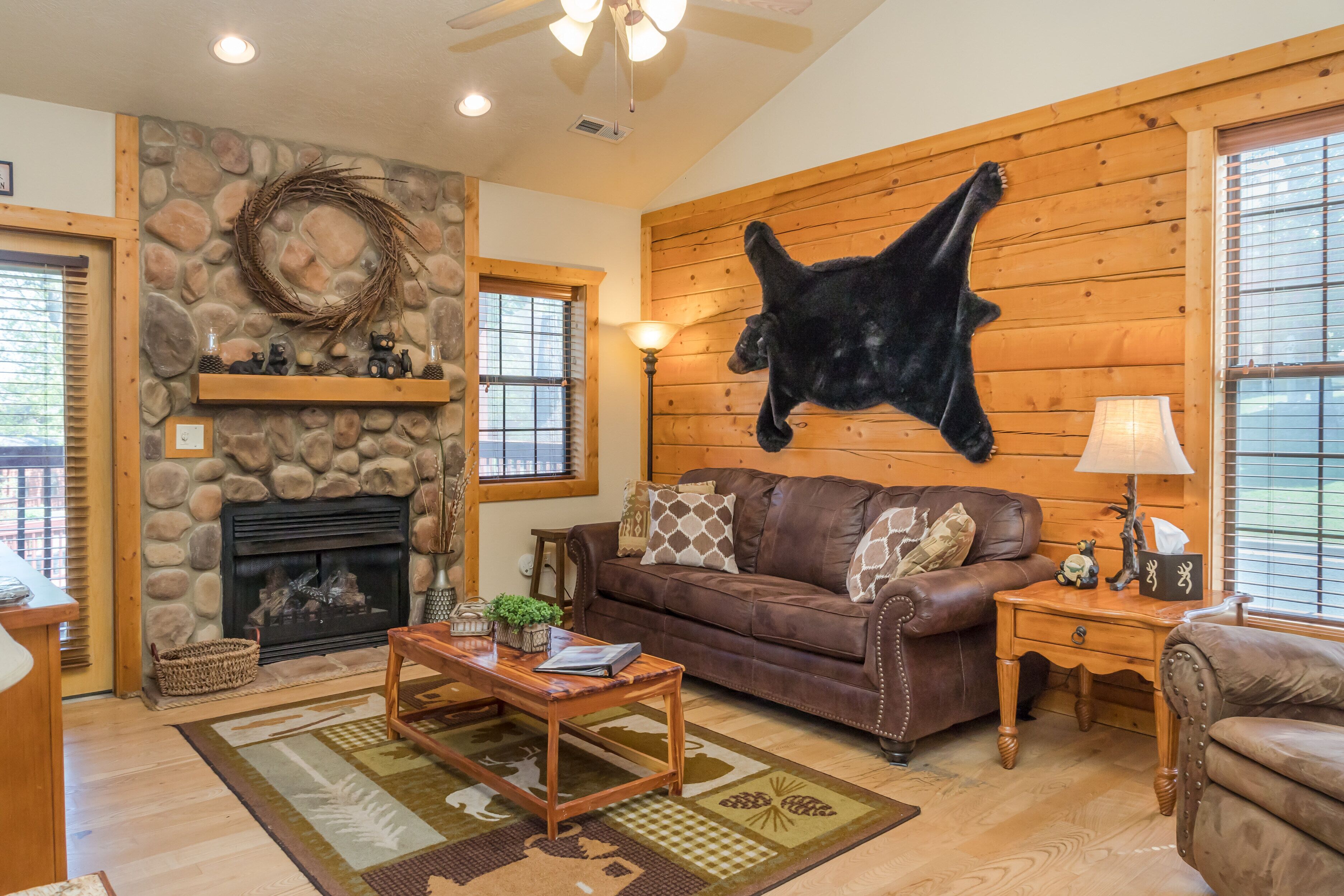 Televisión de pantalla plana, chimenea, reproductor de DVD y libros 