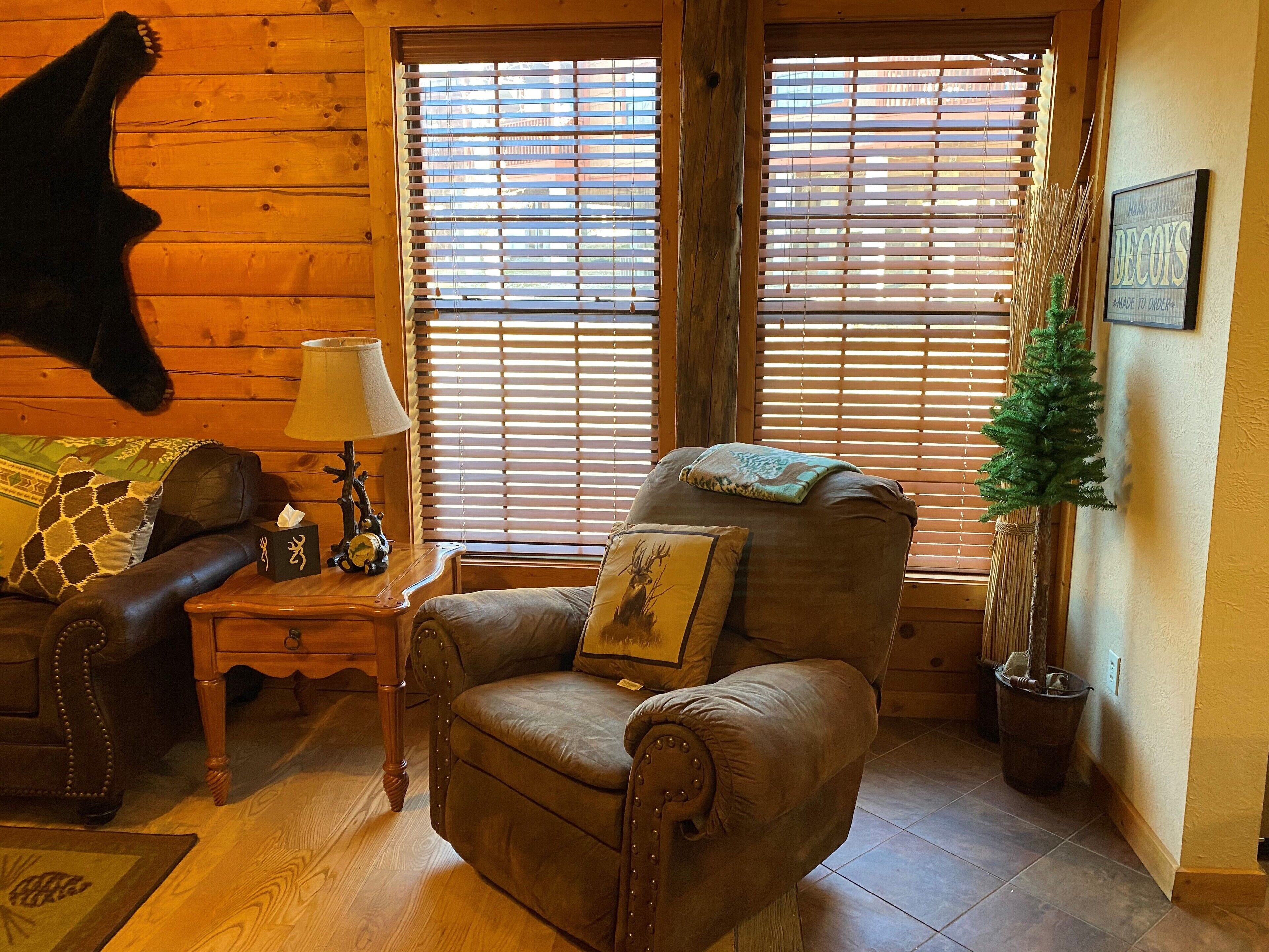 Flat-screen TV, fireplace, DVD player, books