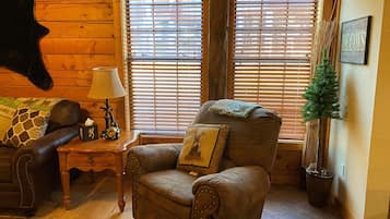 Flat-screen TV, fireplace, DVD player, books