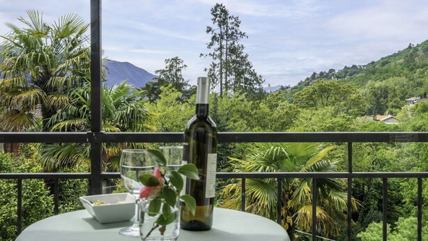 A table with a wine bottle, a glass, and a bowl on a balcony overlooking a lush landscape with trees and a mountain.