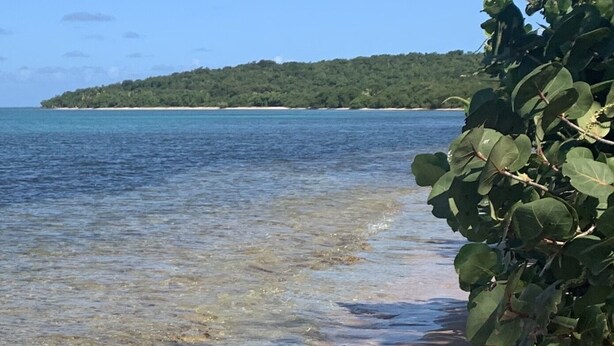 A beach with clear water, a sandy shore, and a forested hill in the background. - Oasis Luxury Penthouse with Ocean & Marina Views (Fajardo)