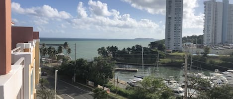 Vista desde la propiedad