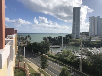 Vista desde la propiedad