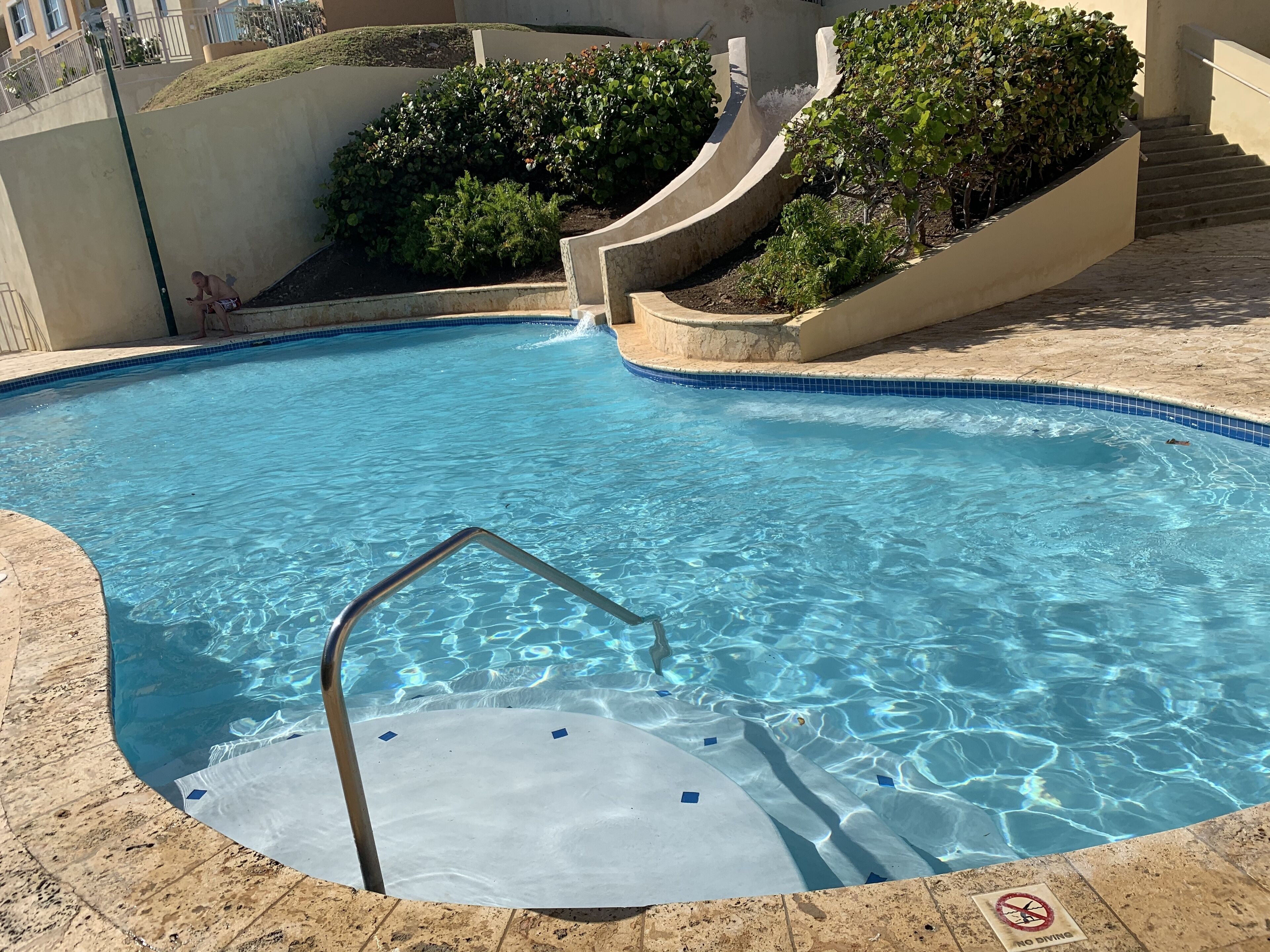 A swimming pool with a metal ladder, surrounded by a tiled deck and a landscaped area with bushes.