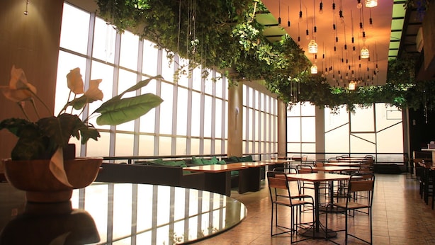 Un restaurante con mostrador curvo, plantas colgantes e iluminación colgante.