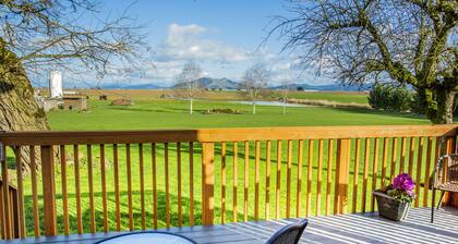 Hazelnut Loop heti I-5: ltä