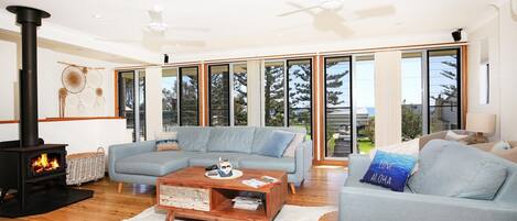 TV, peis, Netflix og DVD-spiller