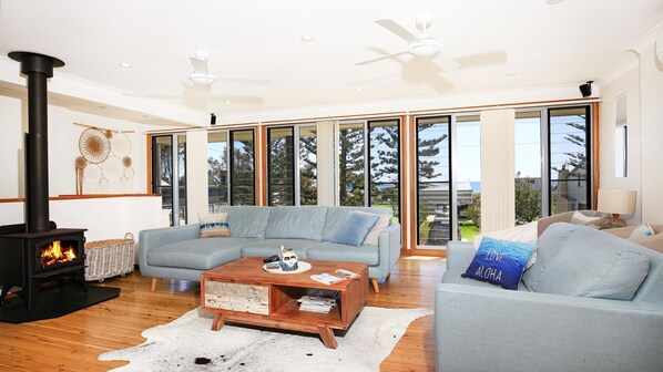 Televisión, chimenea, Netflix, reproductor de DVD