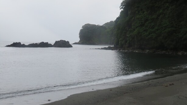 Une plage avec une eau calme, des affleurements rocheux et une végétation luxuriante.