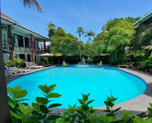 Outdoor pool, pool umbrellas, pool loungers